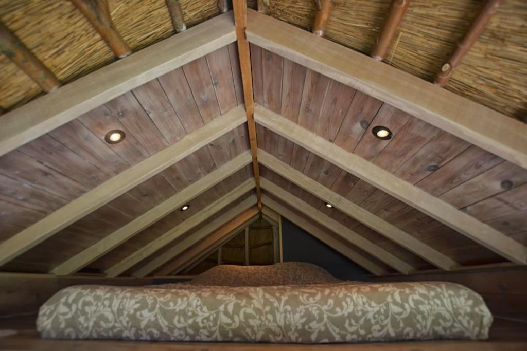 Villa Tiny In De Polders à Zuienkerke Extérieur photo